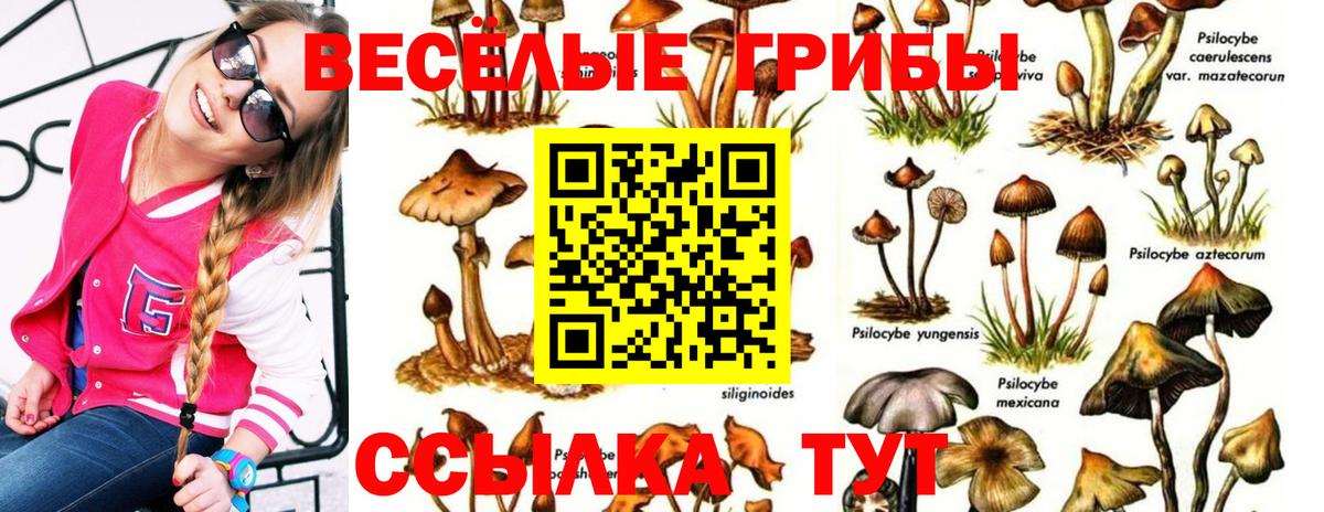 Галлюциногенные грибы Cubensis Ейск