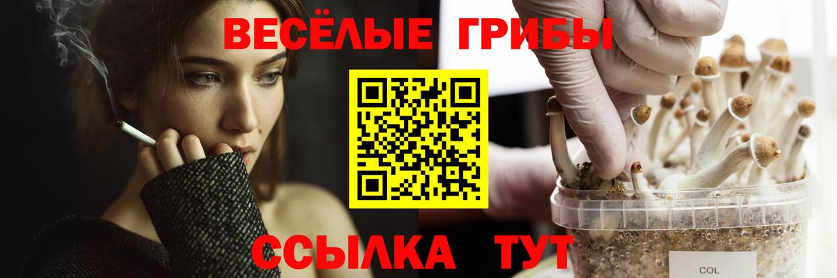 Галлюциногенные грибы мухоморы  Галлюциногенные грибы Cubensis  Вход с VPN  что такое   Ейск 